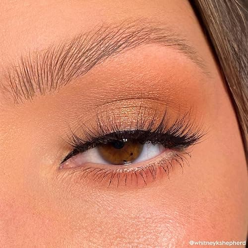 ColourPop Eyeshadow Palette - Eye Makeup Palette with Matte, Metallic, Matte Sparkle & Glitter Finishes - High-Pigment Eye Makeup with a Long-Wearing Formula - Bare Necessities (0.04 oz) thumbnail 3