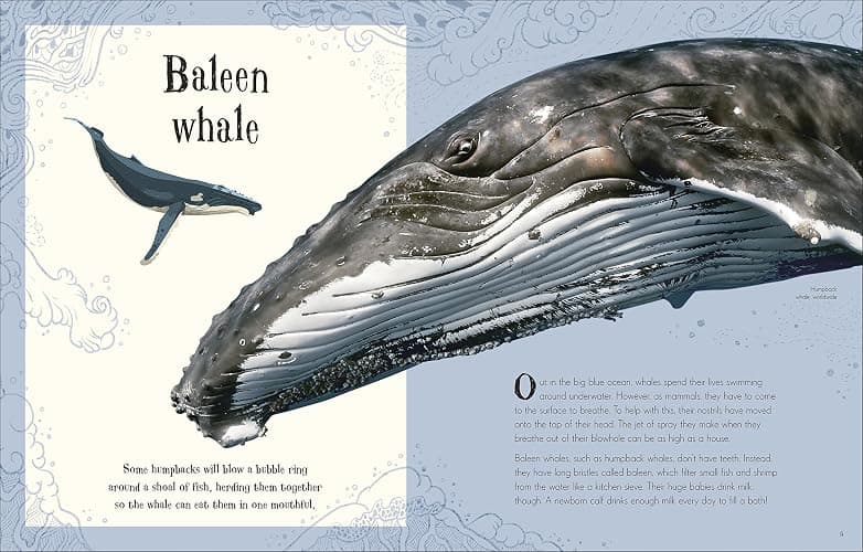 Anthology Of Intriguing Animals thumbnail 4