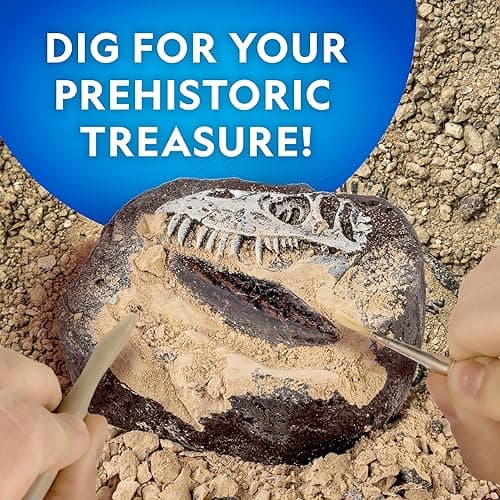 NATIONAL GEOGRAPHIC Dino Fossil Dig Kit & Dinosaur Book for Kids- Excavate a Replica Dinosaur Tooth Fossil and Study Paleontology with a Full-Color Dinosaur Activity Book for Kids (Amazon Exclusive) thumbnail 3