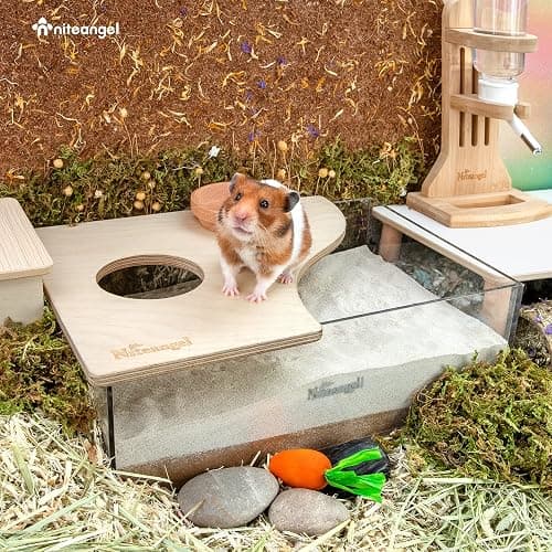 Niteangel Small Animal Sand-Bath Box - Acrylic Critter's Sand Bath Shower Room & Digging Sand Container for Hamsters Mice Lemming Gerbils or Other Small Pets (Birch-Wood, Rectangle) thumbnail 4