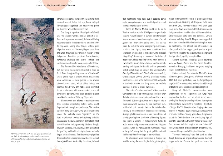 Kew - The Magic of Mushrooms: Fungi in folklore, superstition and traditional medicine (Royal Botanic Gardens, Kew) thumbnail 5