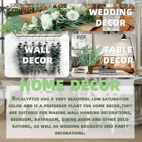 3kinds Natural Eucalyptus Stems 24PCS - 17inch Eucalyptus Set for Shower Bundle Real Eucalyptus Leaves Branches Vase Filler, Dried Flowers Arrangement Home Decor Wedding Decor thumbnail 4
