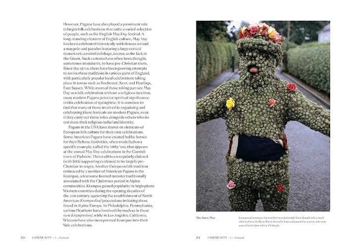 Pagans: The Visual Culture of Pagan Myths, Legends and Rituals (Religious and Spiritual Imagery) thumbnail 14