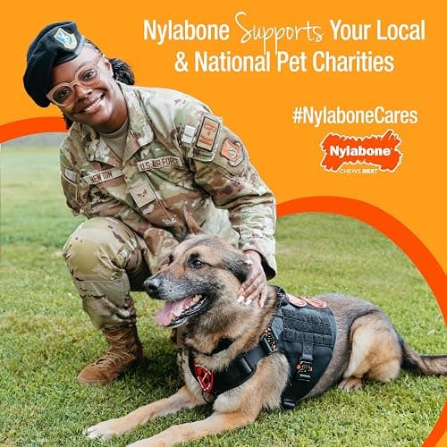 Nylabone Power Chew Toy Bundle, Cute Dog Toys for Aggressive Chewers, Filet Mignon, Cheese, and Bacon Flavors, Small Dogs - Up to 25 lbs, 3 Pack thumbnail 12