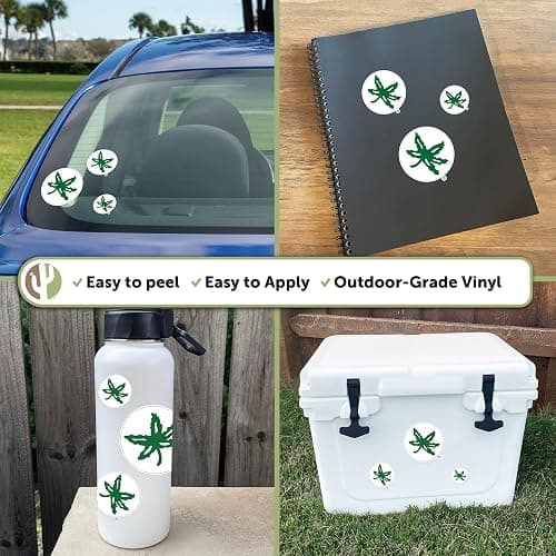 Desert Cactus The Ohio State University Sticker OSU Buckeyes Vinyl Decals Laptop Water Bottle Car Scrapbook Sheet T3 (Type 3-5) thumbnail 2