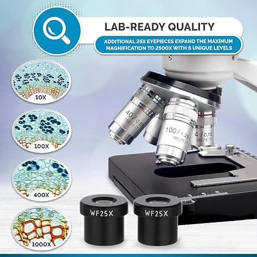 AmScope B120C Series Student & Professional LED Binocular Compound Microscope - 40X-2500X Magnification - Features Siedentopf Head & 3D Mechanical Stage thumbnail 3