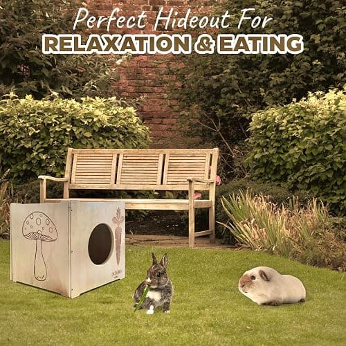 NIKOS PETS - Wooden Rabbit Hideout, Rabbit Bed, Indoor Hutch, Bunny House Pet for Bunnies, Guinea Pigs, Outdoor Shelter Hut, Small Animal Hideaway, Bunny Playground (12.5 x 12.5 in) thumbnail 9