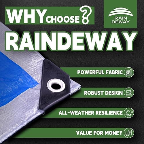 RAINDEWAY Tarps 8x10 Feet, 5.5 Mil - Multipurpose Waterproof Poly Tarp Cover with Metal Grommets and Reinforced Edges, Silver/Blue Tarp thumbnail 2