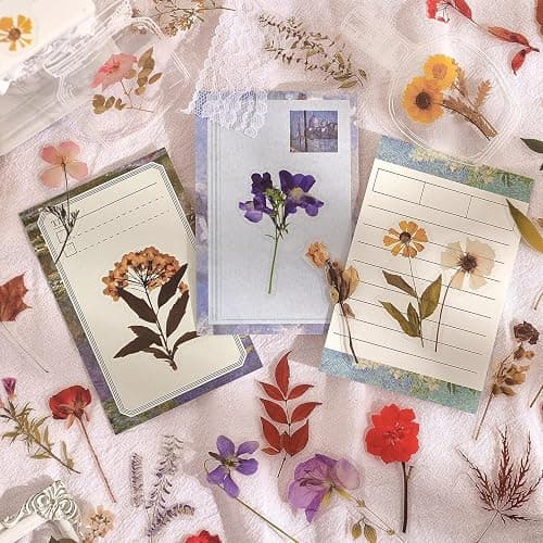 380 Pcs Natural Flower Stickers for Scrapbooking, Vintage Floral Stickers Decals Aesthetic Watercolor Stickers for Journaling Phone Case Stickers Art Bullet Junk Journal Planners DIY Craft Notebook thumbnail 7