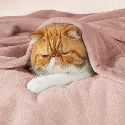 Bedsure GentleSoft Fleece Blankets King Size Dusty Pink - Bed Blanket Soft Lightweight Plush Cozy Fuzzy Luxury Microfiber, 108x90 inches thumbnail 4