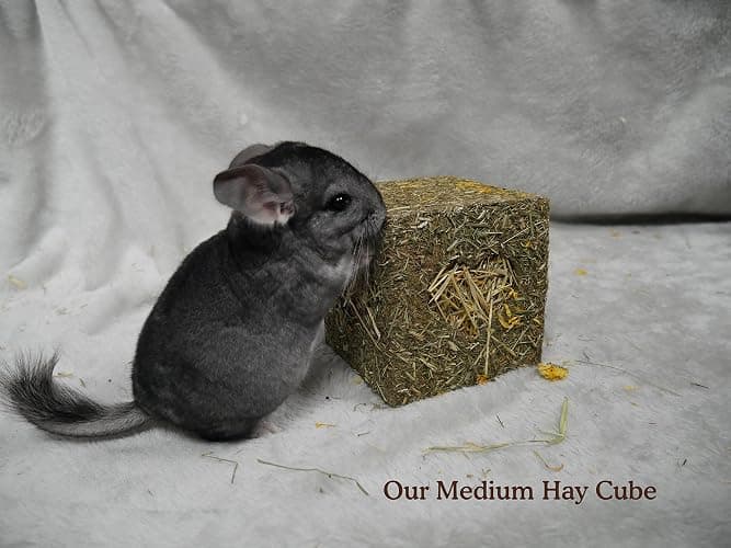 Rosewood Naturals I Love Hay Forage Cube, Small Animal Treat and Gnaw Toy for Rabbits, Guinea Pigs, Chinchillas, Degus, Hamsters, Gerbils, Mice and Rats - Large - 1 count (Pack of 1) thumbnail 3