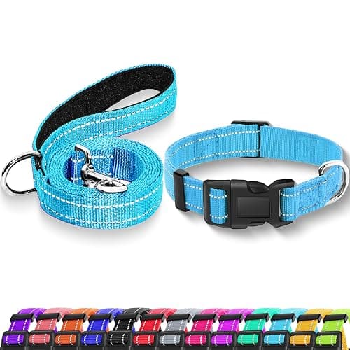 Maiiu Reflective Dog Collar with Safety Locking Buckle (Collar+Leash) | Adjustable Soft Breathable Nylon Collars for Small, Medium and Large Dogs (S Width 5/8" Sky Blue) - Image 1