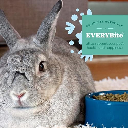 Oxbow Essentials Rabbit Food, Young Rabbit, Made with Oxbow Timothy, Pet Food Pellets for Bunnies, Small Animal Pet Products, Made in USA, High Fiber Bunny Supplies, 10 lb. bag thumbnail 4
