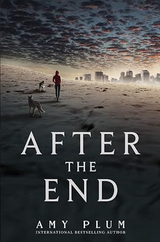 After the End - Image 1