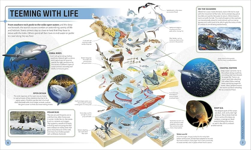 Super Shark Encyclopedia: And Other Creatures of the Deep (DK Super Nature Encyclopedias) thumbnail 6