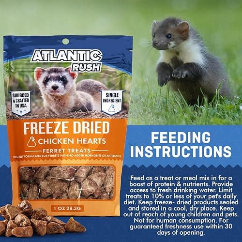 Freeze Dried Small Pet Treats - Resealable Bag of Treats for Ferrets - Ferret Snacks - Single Ingredient Ferret Food With No Preservatives Or Fillers- Small Animals Treats (1oz, chicken Heart) thumbnail 5