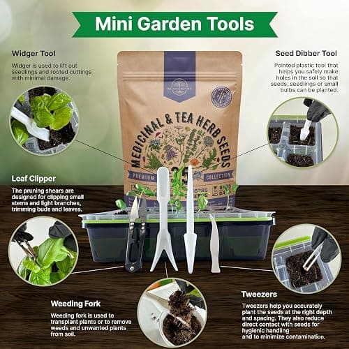35 Medicinal & Tea Herb Seeds Variety Pack for Indoor & Outdoors. 16,335+ Non-GMO Heirloom Garden Seeds: Anise, Bergamot, Borage, Cilantro, Chamomile, Dandelion, Rosemary Seeds & More thumbnail 5