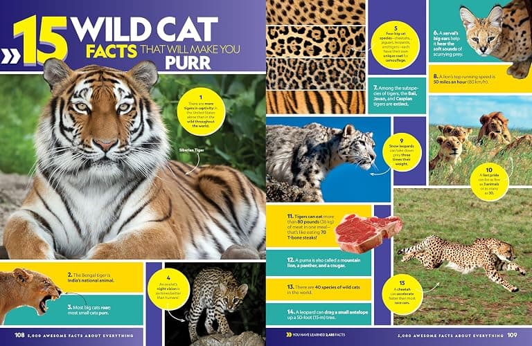 5,000 Awesome Facts (About Everything!): Updated and Expanded!: . thumbnail 3