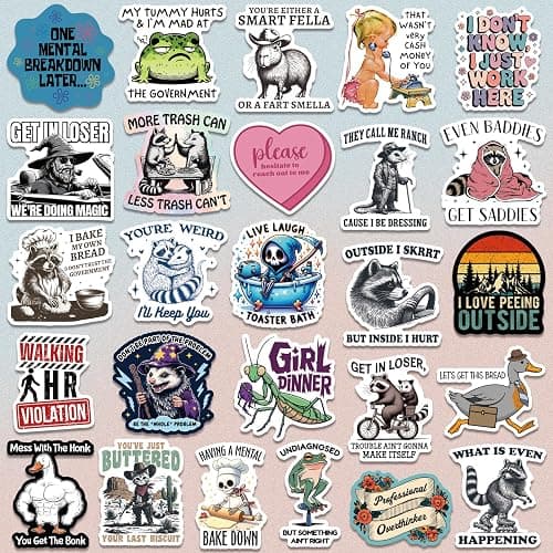 200 PCS Funny Holographic Stickers for Adults, Waterproof Vinyl Sarcastic Meme Decals for Laptop, Water Bottle, Phone, Kindle, Journal, Scrapbook, Bumper, Skateboard, Luggage, No Repeats thumbnail 6