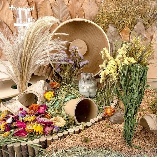 Niteangel Natural & Soft Hamster Bedding for Syrian Dwarf Hamsters Gerbils Mice Degus Bunny or Other Small-Sized Pet (Flower Version) thumbnail 7