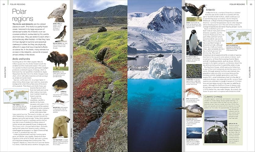 Animal: The Definitive Visual Guide (DK Definitive Visual Encyclopedias) thumbnail 3