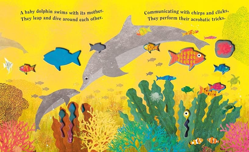 Ocean: A Peek-Through Board Book thumbnail 2