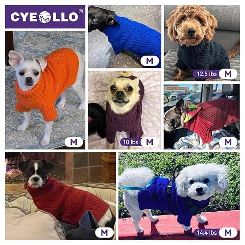 cyeollo Dog Sweater Pullover Turtleneck for Dogs, Classic Knitwear Fall Winter Cold Weather Dog Clothes Warm Pet Apparel Small Medium Large Doggie Sweaters, Orange M thumbnail 4