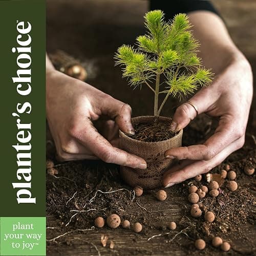 Bonsai Starter Kit thumbnail 7