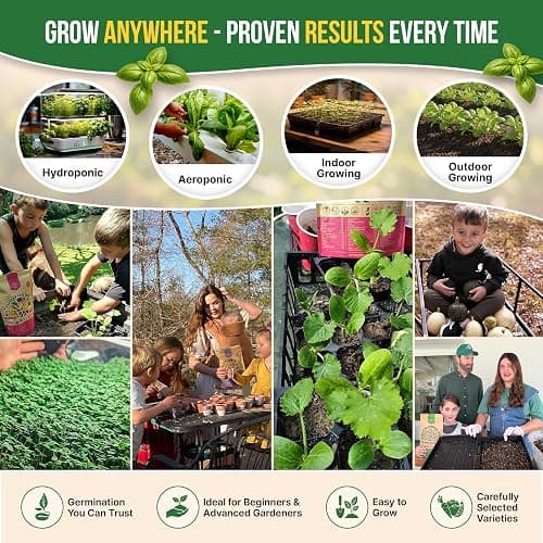 25 Most Popular Herb Seeds Variety Pack - 11,700 Non-GMO Heirloom Seeds for Planting Herbs in Individual Seed Packets for Hydroponic, Indoor & Outdoor Gardening - 2026 Season: Catnip, Dill, Thyme thumbnail 4