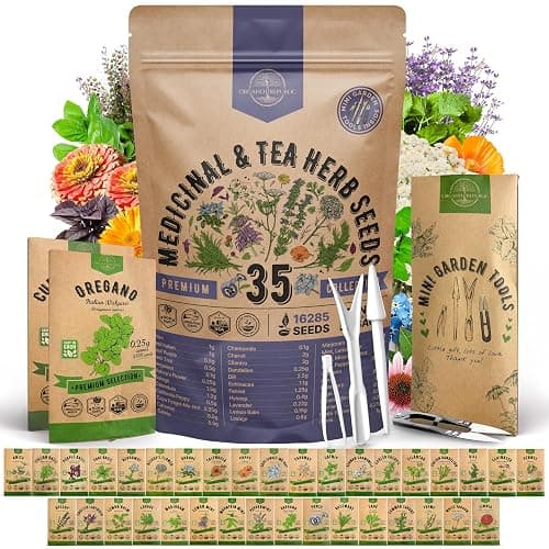 35 Medicinal & Tea Herb Seeds Variety Pack for Indoor & Outdoors. 16,335+ Non-GMO Heirloom Garden Seeds: Anise, Bergamot, Borage, Cilantro, Chamomile, Dandelion, Rosemary Seeds & More - Image 1
