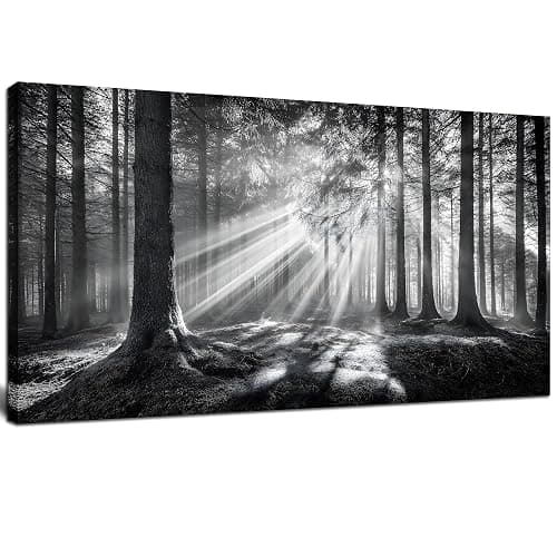 Trogonup Black and White Misty Forest Wall Art for Living Room Trees Large Nature Canvas Artwork for Bedroom Office Home Decor Ready to Hang 20"x40" - Image 1