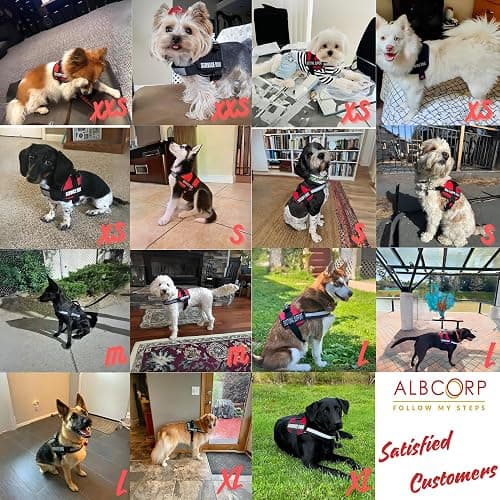 ALBCORP Emotional Support Dog Vest – Reflective Harness - Woven Nylon, Comfy Mesh Padding - Sizes from XXS to XL – Emotional Support Dog Patches Included. Black, Extra Small thumbnail 6