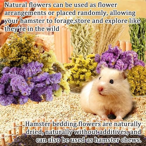 Sukh 42Pcs Hamster Sprays Natural - Sprays & Forage for Small Animals | Chew Herbs for Syrian Dwarf Hamsters & Guinea Pigs, Habitat Dry Flowers Decor, Hideout Enrichment, Cage & Bedding Accessories thumbnail 4