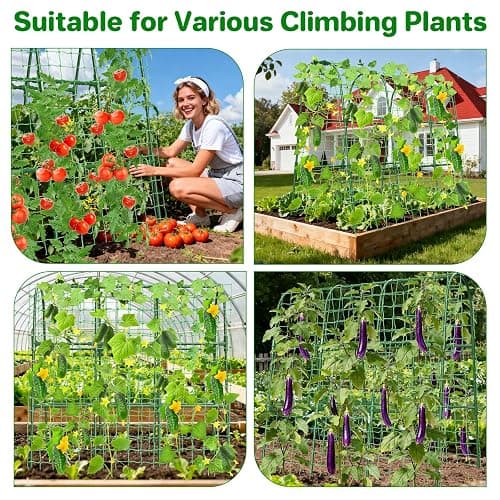 Cucumber Trellis for Raised Bed, U-Shape Garden Trellis for Climbing Plants Outdoor, Metal Arch Trellis for Vegetables, Plant Support for Tomato, Pea, Zucchini (47.2" L×30" W×47.2" H-Medium) thumbnail 6