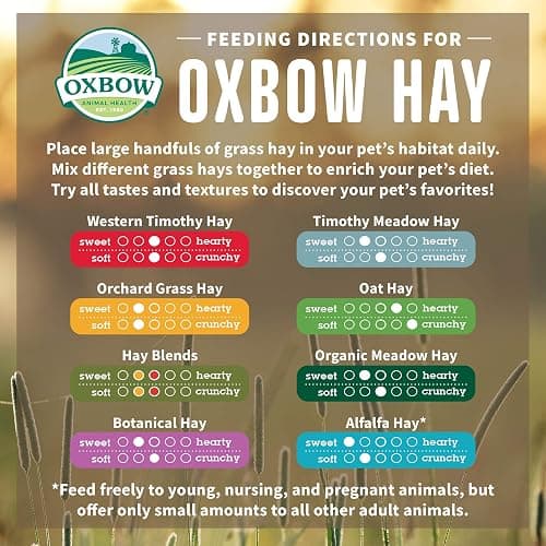 Oxbow Animal Health Western Timothy Hay - All Natural Hay for Rabbits, Guinea Pigs, Chinchillas, Hamsters & Gerbils - 15 oz. (Pack of 2) thumbnail 5