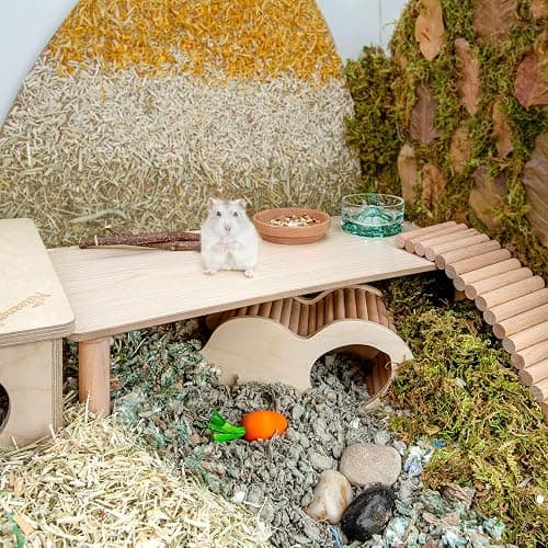 Niteangel Hamster Play Wooden Platform for Dwarf Syrian Hamsters Gerbils Mice Degus or Other Small Pets (Rectange - 7'' Height, Burlywood) thumbnail 3