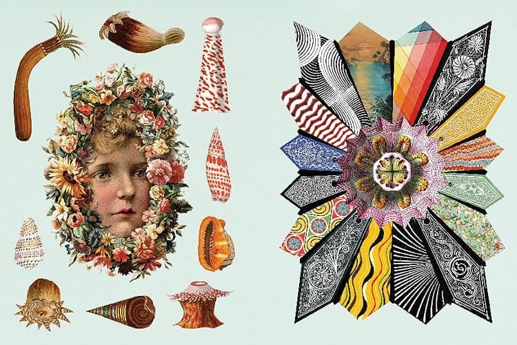 The Antiquarian Sticker Book: Imaginarium: Over 1,000 Exquisite & Enchanting Stickers thumbnail 4