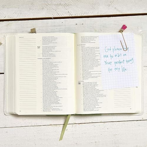 CSB Notetaking Bible, Sage Cloth Over Board thumbnail 2