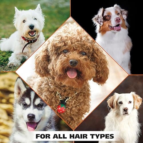 Wahl USA 4-in-1 Calming Pet Shampoo for Dogs, Lavender Chamomile, 64 oz | Half Gallon Shampoo For Multi-Dog Families To Clean, Condition, Detangle, And Moisturize Fur During Bath - Model 821000-050 thumbnail 7