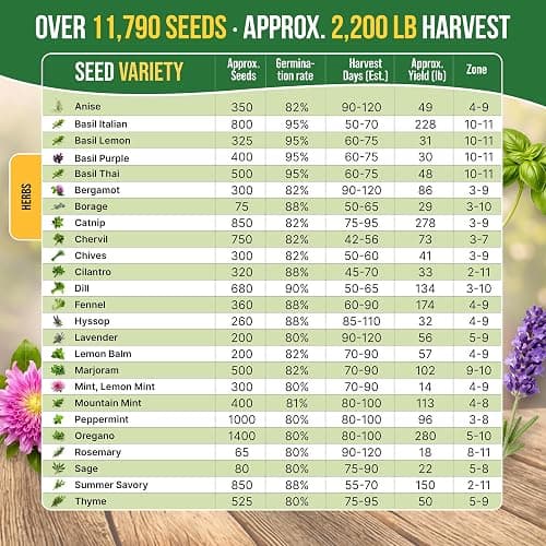 25 Most Popular Herb Seeds Variety Pack - 11,700 Non-GMO Heirloom Seeds for Planting Herbs in Individual Seed Packets for Hydroponic, Indoor & Outdoor Gardening - 2026 Season: Catnip, Dill, Thyme thumbnail 3