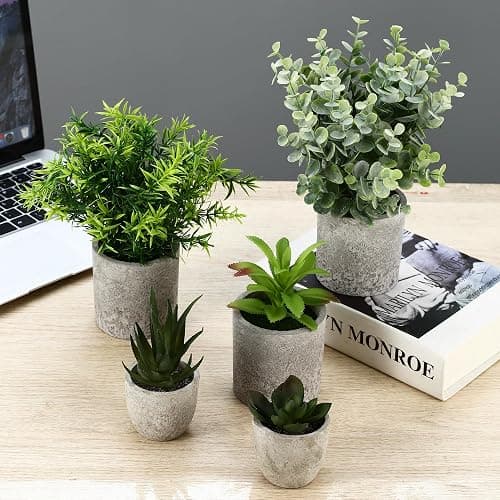 5 Stück Kunstpflanze, Mini Künstliche Pflanzen Schlangenzunge, Agave Sukkulente, Eagle Claw Aloe, Künstliche Pflanzen für Schlafzimmer Büro Dekoration thumbnail 2