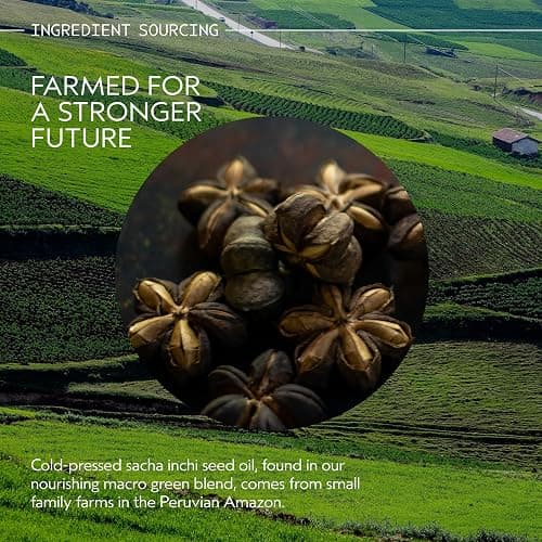 Aveda Botanical Repair Strengthening Conditioner | Instantly Detangles to Prevent Breakage | Strengthens & Repairs Damaged Hair | Builds Bonds | 98% Naturally Derived* | Silicone Free thumbnail 9