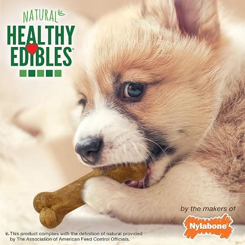 Nylabone Healthy Edibles Natural Puppy Chews Long Lasting Treats for Puppies, Roast Beef, Apple & Bacon Flavor, X-Small/Petite (3 Count) thumbnail 9