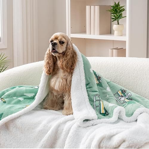 Berkshire Blanket Peanuts® Sherpa Blanket, 480gsm Warm Reversible Heavy Thick Blanket for Couch, Bed & Travel (Snoopy's Beachy Roadtrip Large Sage, King Size 90" x 108") thumbnail 5