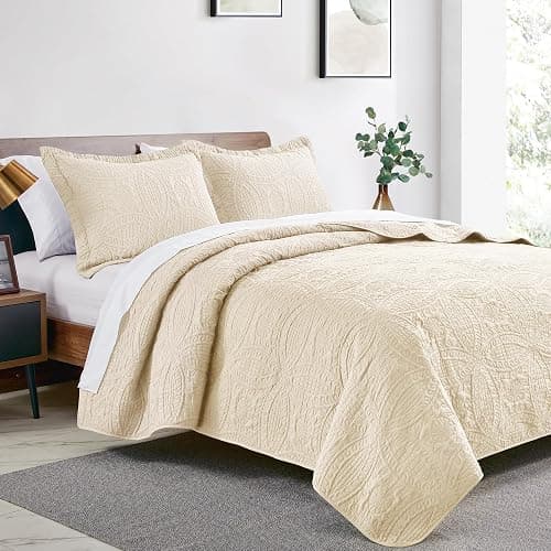Love's cabin Quilts for Queen Bed Beige Bedspreads Bedding Set - Summer Lightweight Bedspread Comforter - Coin Pattern Bedding Coverlet for All Season - 3 Pieces (1 Quilt, 2 Pillow Shams) thumbnail 2
