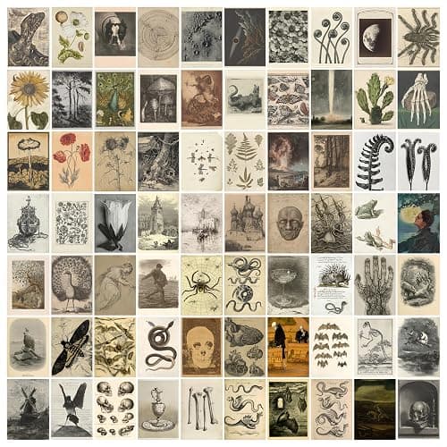 Leifyson 70PCS Vintage Wall Collage Kit - Create Aesthetic Magic with Nature-Inspired Posters and Room Decor 4x6 Inch - Image 1