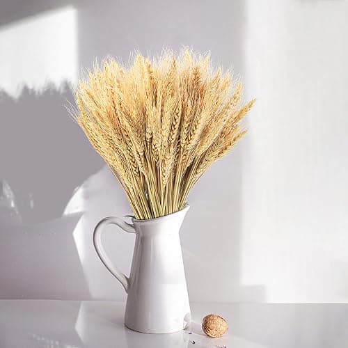 Uieke 17.7 Inches Dried Wheat Stalks, 100 Stems Dried Flowers 100% Natural Wheat for Home Kitchen Wedding Party Table Centerpiece Harvest Wreath Boho Farmhouse DIY Decoration thumbnail 9