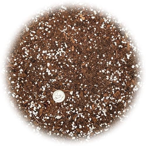 Gardenera Premium House Plant and Tropical Plant Potting Soil - Re-Potting Soil for All Types of Indoor House Plants - 1 Quart - 1 Quart - TROPICAL HOUSE PLANT POTTING MIX thumbnail 3