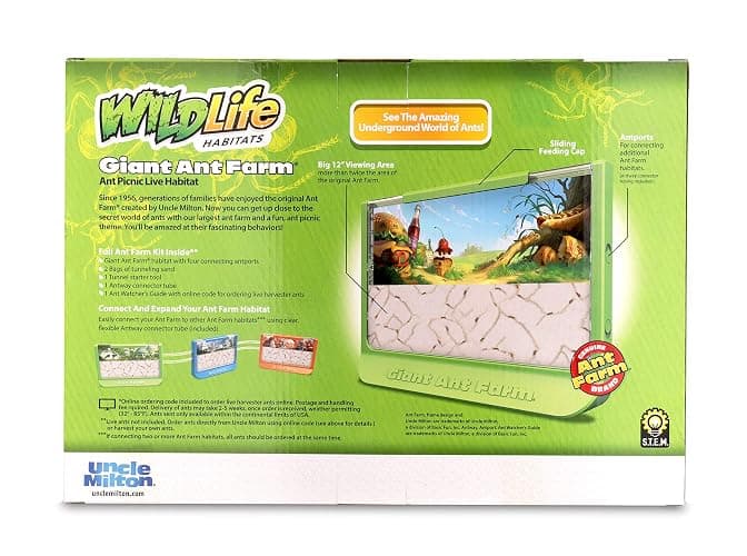 Uncle Milton Giant Ant Farm - Large Viewing Area - Care for Live Ants - Nature Learning Toy - Science DIY Toy Kit - Great Gift for Boys & Girls, Green thumbnail 7