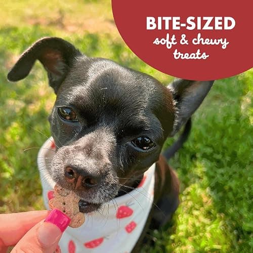 Buddy Biscuit Softies 5 oz Pouch, Grain-Free Soft & Chewy, Natural Grilled Beef Flavor Dog Treats, Oven Baked in the USA thumbnail 7